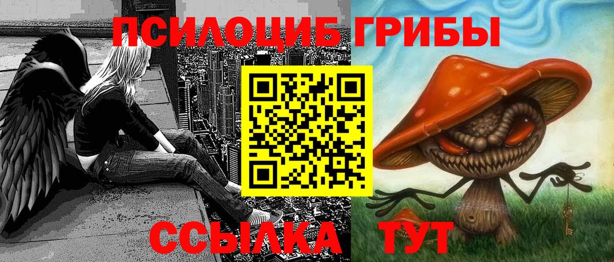Протвино  Галлюциногенные грибы MAGIC MUSHROOMS  закладки  Вход с VPN 